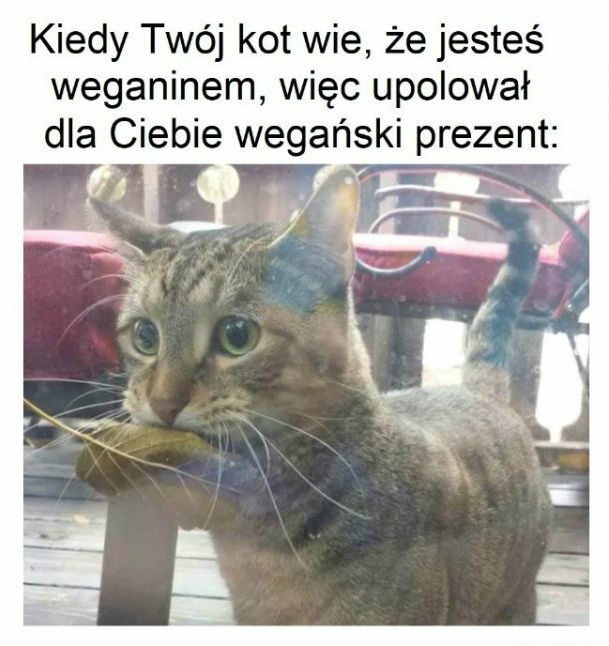 Prezent od przyjaciela