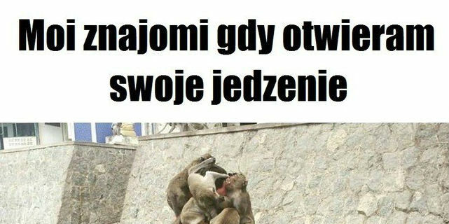 Jedzenie