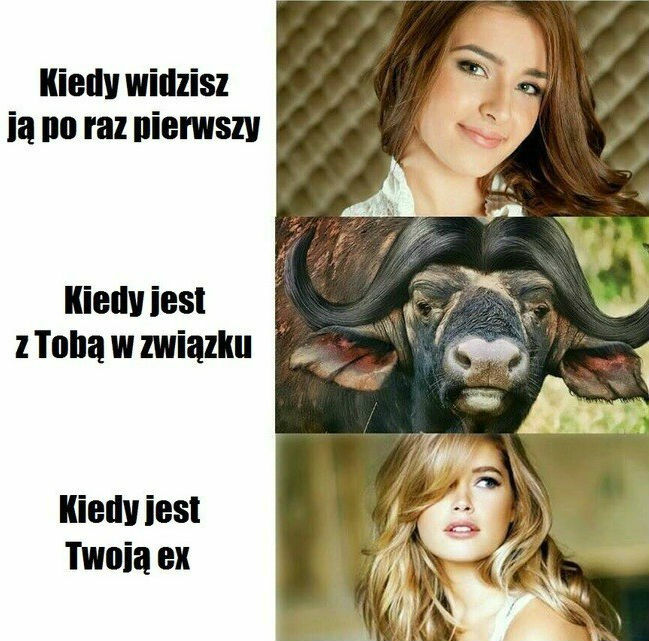 Pierwsze spotkanie