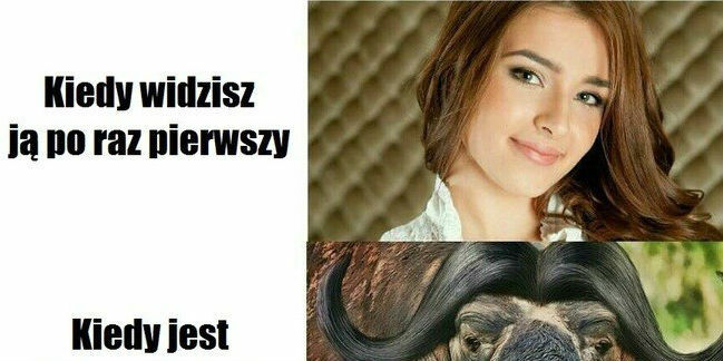 Pierwsze spotkanie