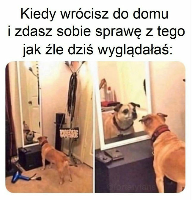 Powrót do domu