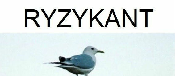 Co za odwaga!