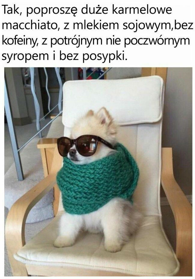 Perfekcjonista w każdym calu