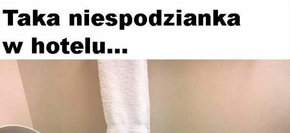 Niespodzianka 