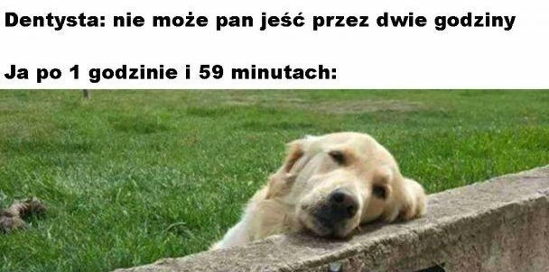 Wizyta u dentysty