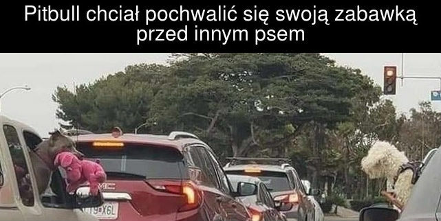 Chwalipięta