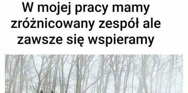Praca mojej mamy