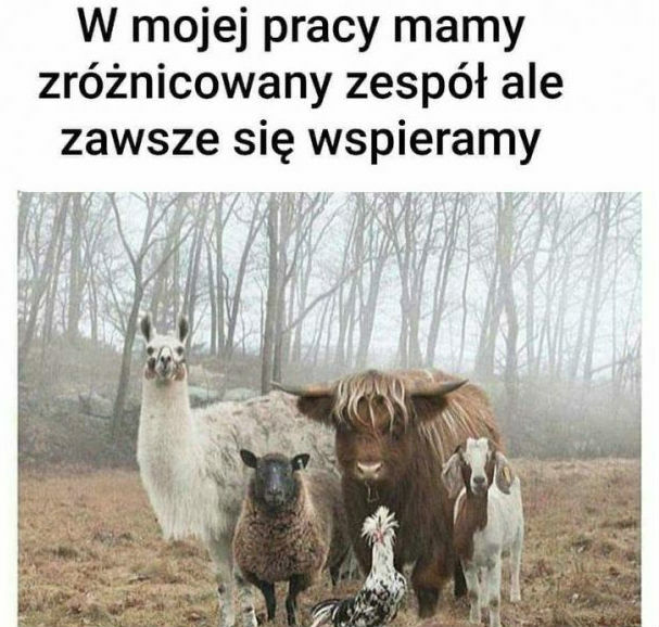 Praca mojej mamy