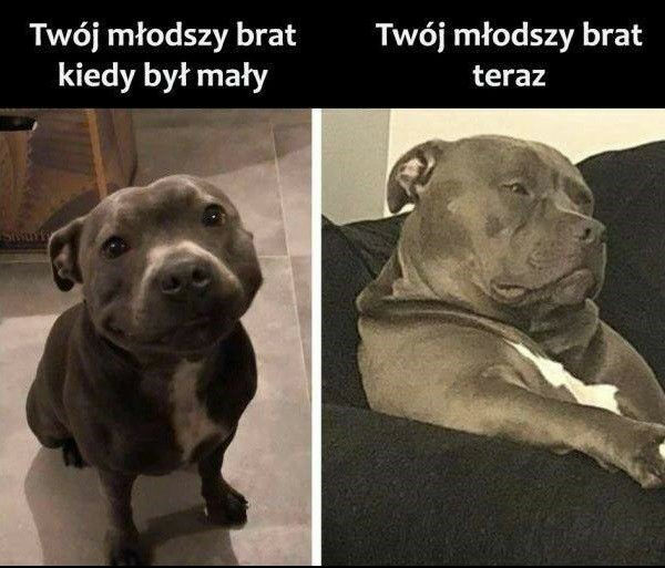 Młodsze rodzeństwo