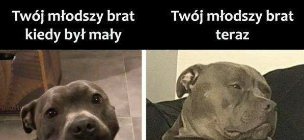 Młodsze rodzeństwo