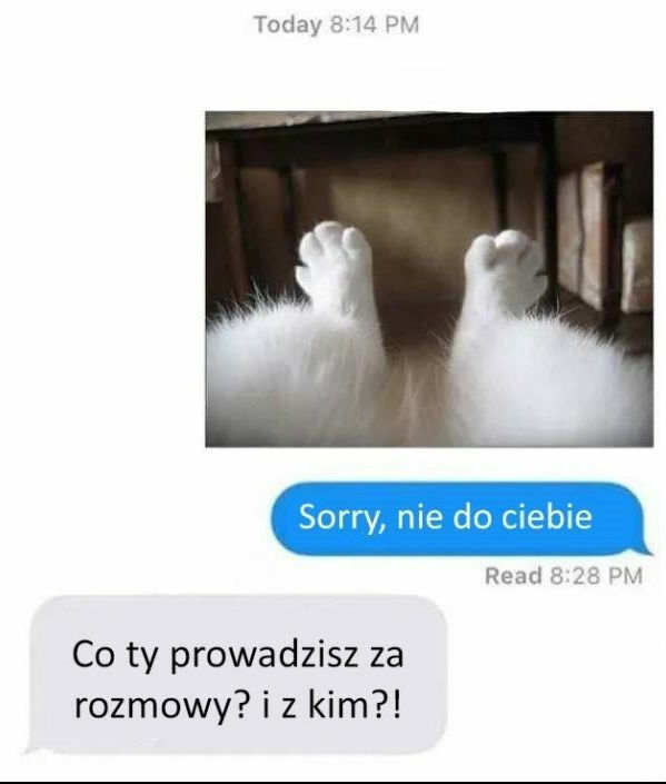 Interesująca konwersacja!