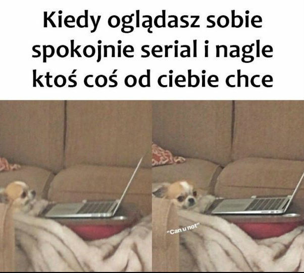 Chwila spokoju!