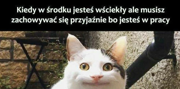 Trzeba sprawiać pozory