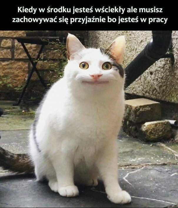Trzeba sprawiać pozory