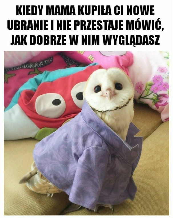 Aj ta mama!