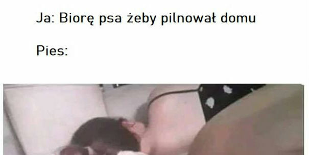 Prawdziwy przyjaciel!