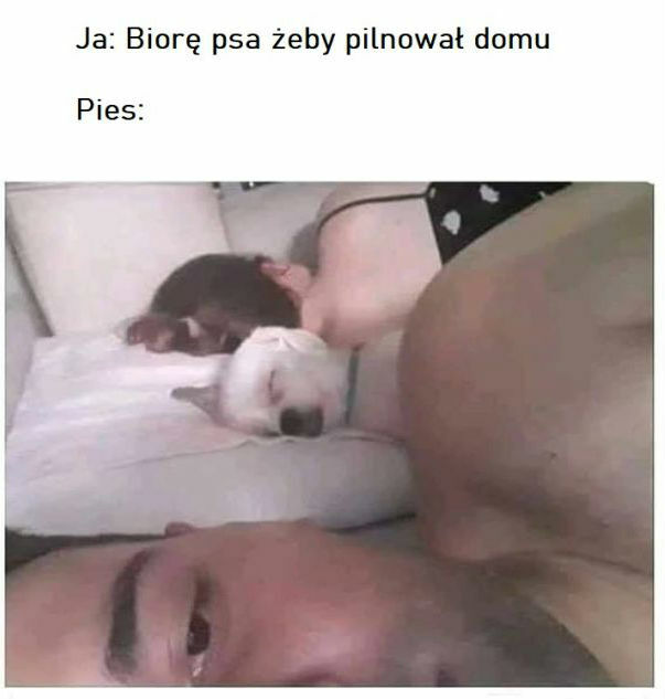 Prawdziwy przyjaciel!