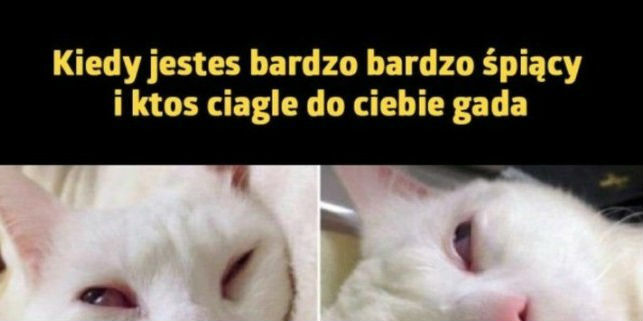Brak taktu!