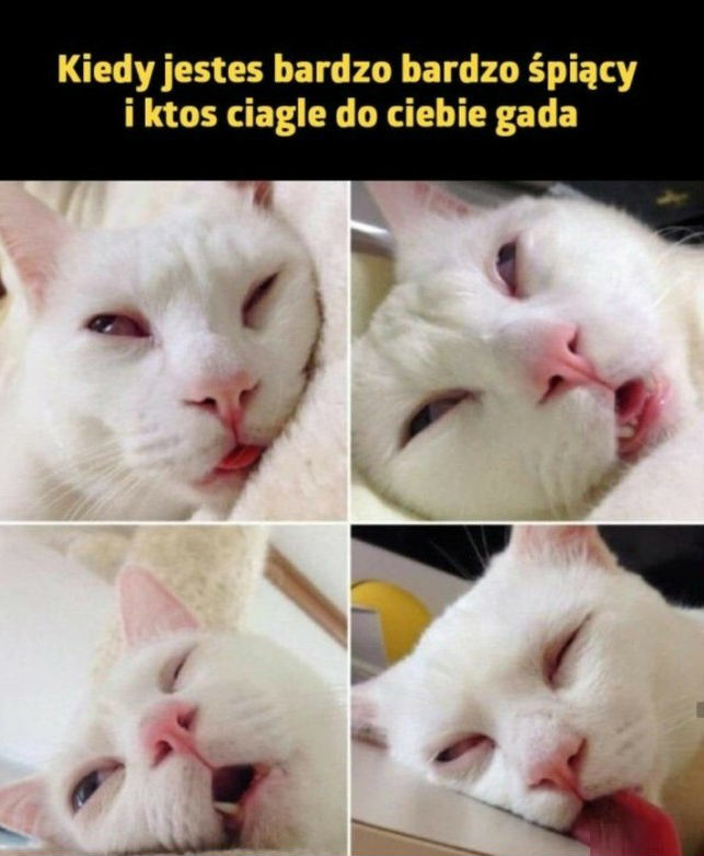 Brak taktu!