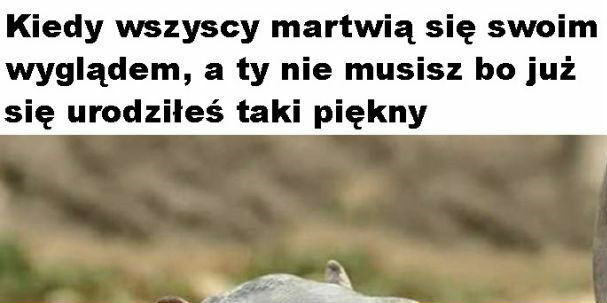 Narcyz