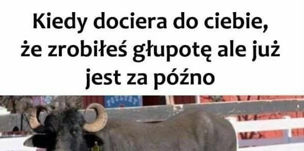 Głupota