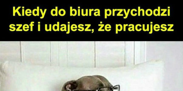 Spotkanie z szefem!
