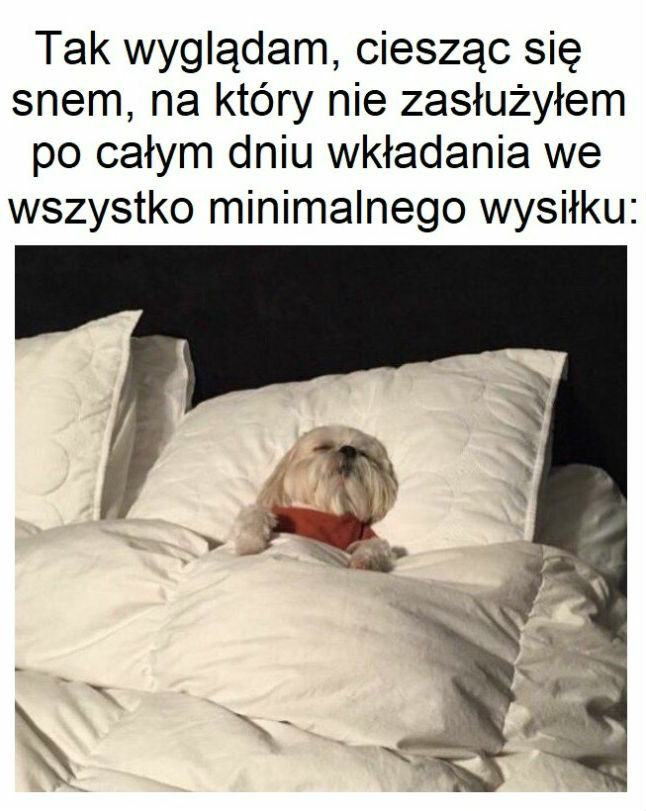 Odpoczynek