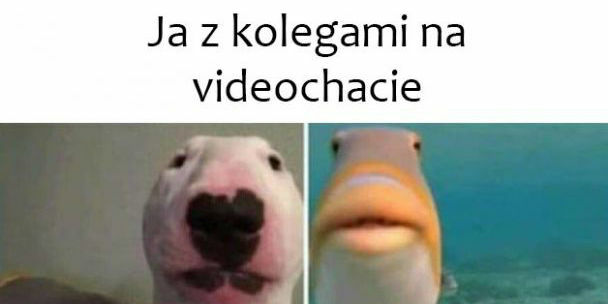 Moi kumple!