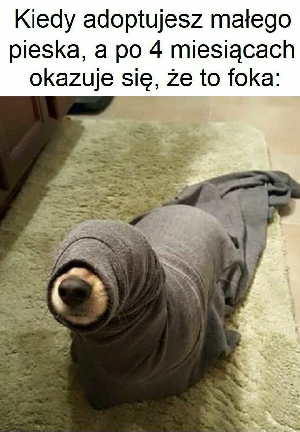 Pomyłka!