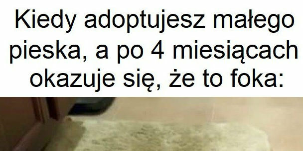 Pomyłka!