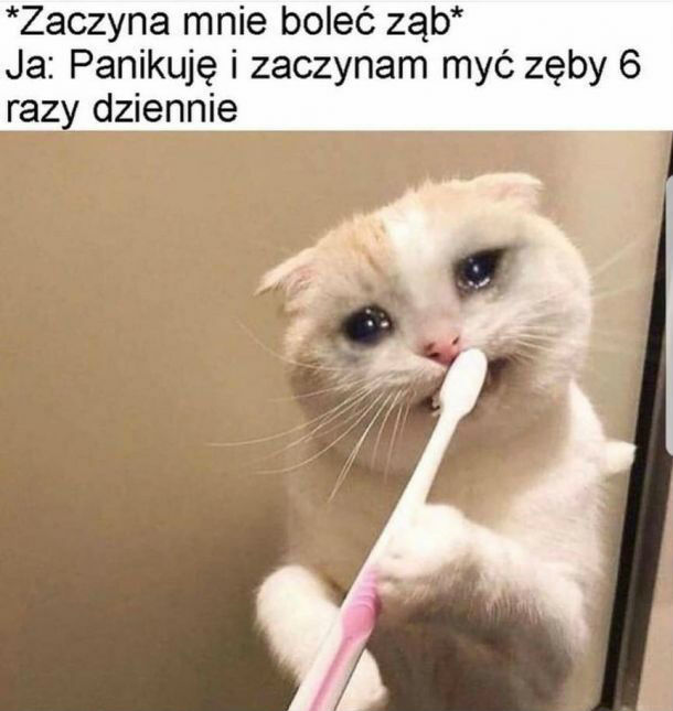 Bolący ząb