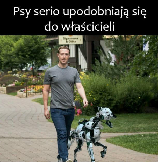 Dostrzegam podobieństwo