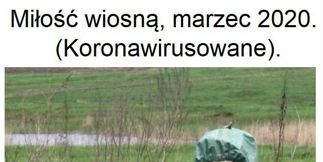Wiosna!