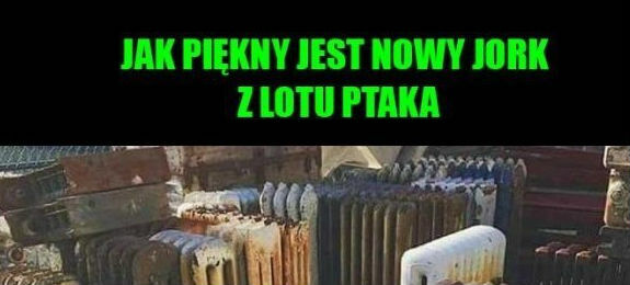 Niecodzienny widok!
