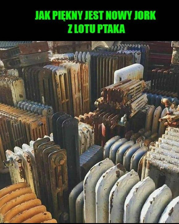 Niecodzienny widok!