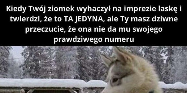 Impreza z ziomkiem!