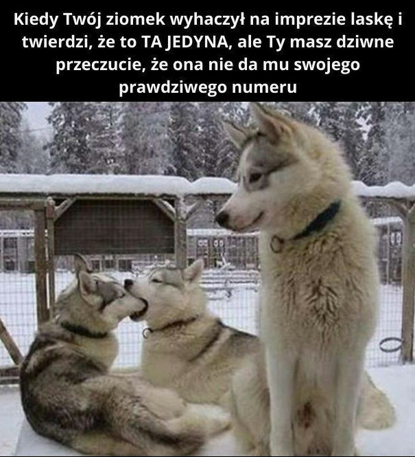 Impreza z ziomkiem!