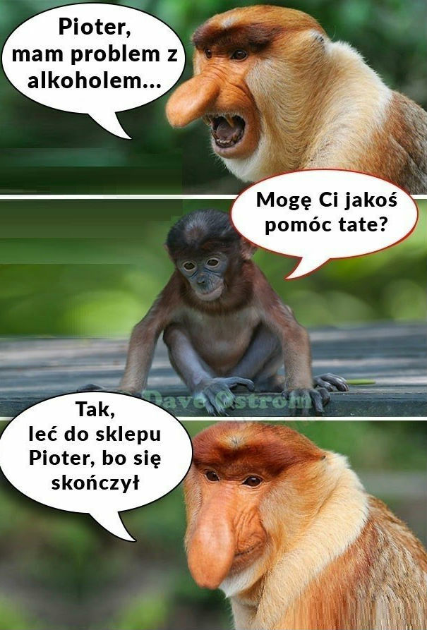 Januszowe problemy!