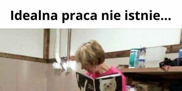 Praca marzeń