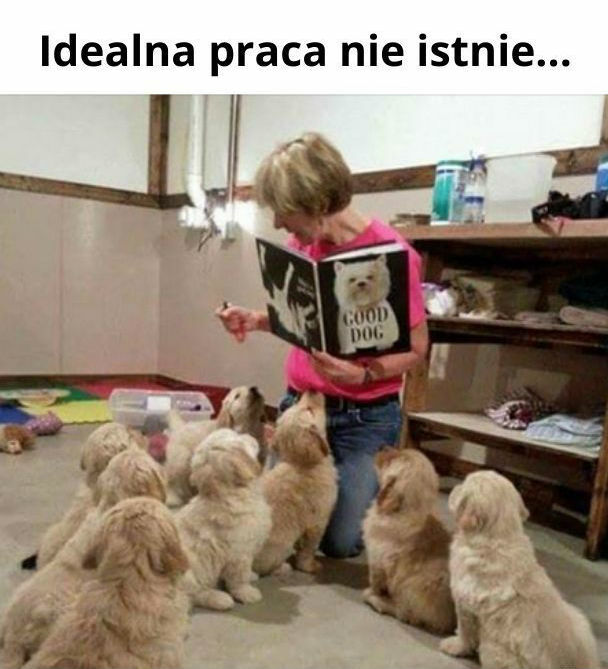 Praca marzeń