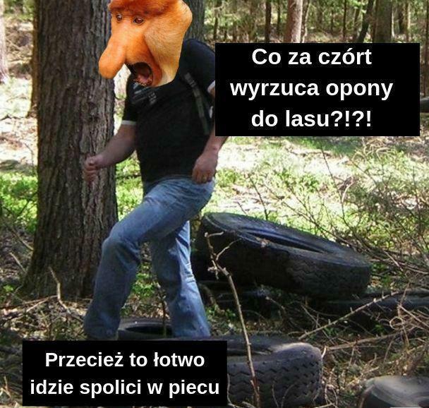 Polska na jednym obrazku