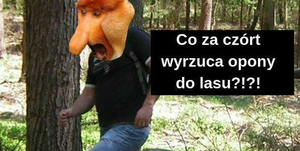 Polska na jednym obrazku