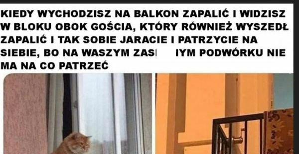 Szara polska rzeczywistość