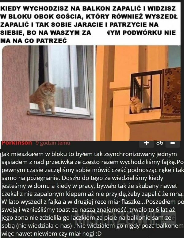 Szara polska rzeczywistość