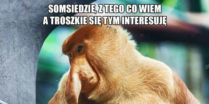 Życiowa teoria Janusza :D 