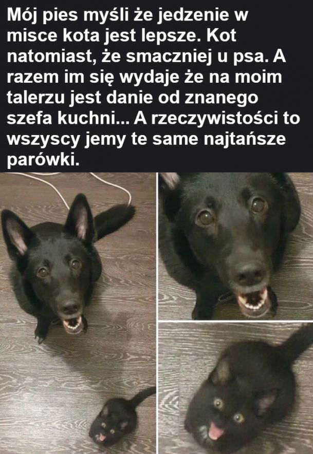 Żywienie w domu :D