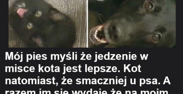 Żywienie w domu :D
