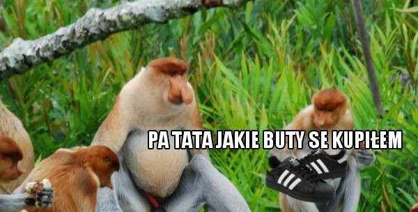 Mistrzowska reakcja Janusza na buty Piotera