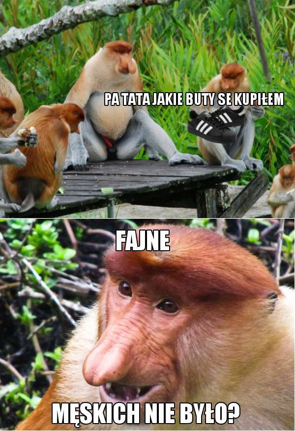 Mistrzowska reakcja Janusza na buty Piotera