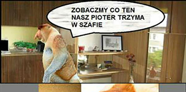 Co Pioter trzyma w szafie?